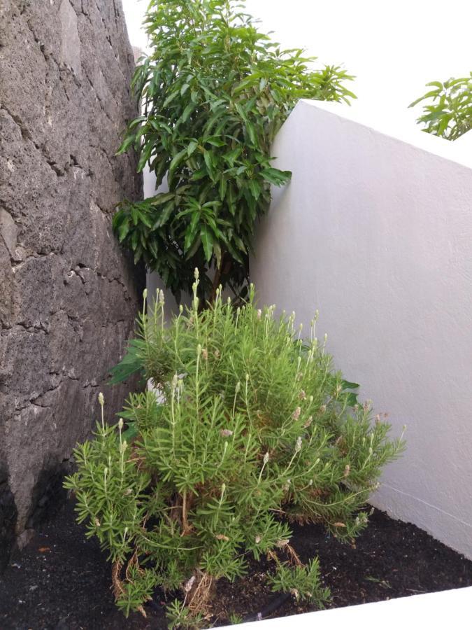 Villa Lanzarote Puerto Calero Eksteriør billede